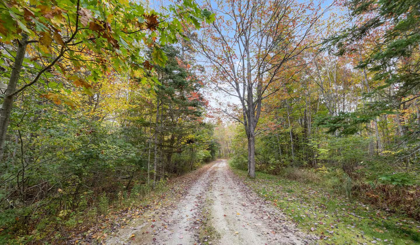 The wooded drive near Eagles Nest in autumn, on the way to Acadia
